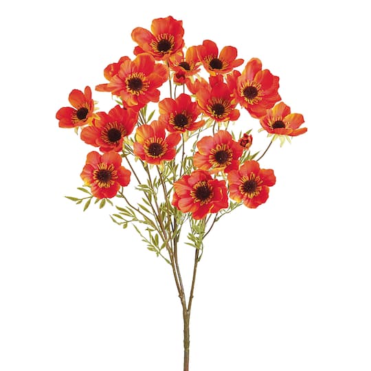 Flame Orange Wild Poppy Bush